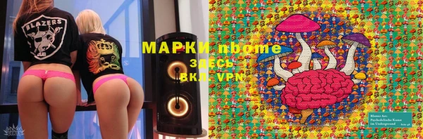 кокс Арсеньев