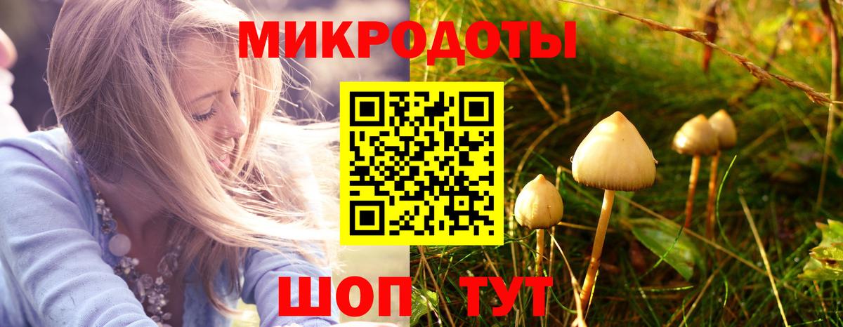 Галлюциногенные грибы ЛСД  Белебей  Галлюциногенные грибы Psilocybe 