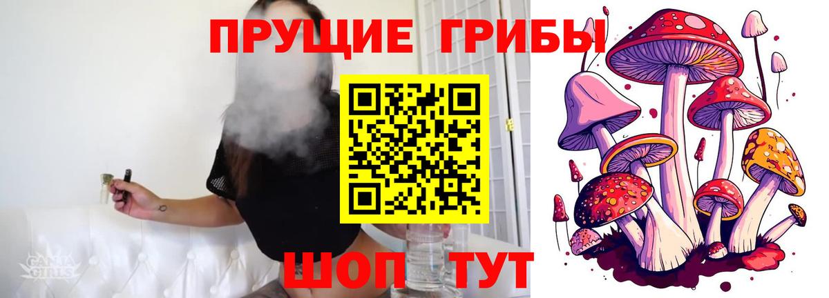 Белебей  Галлюциногенные грибы Cubensis  Вход с VPN 