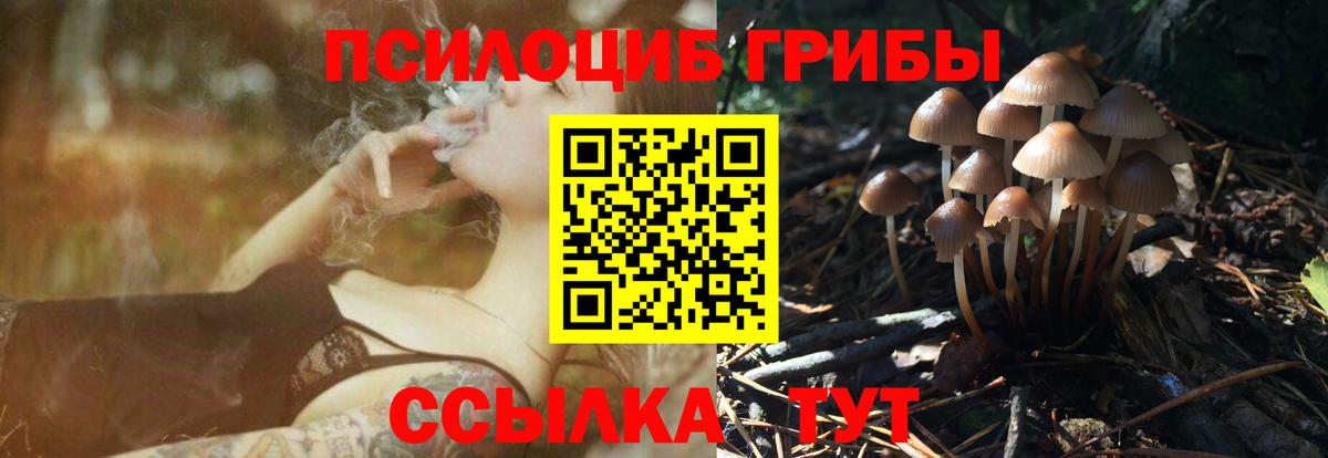 Галлюциногенные грибы Psilocybe Белебей