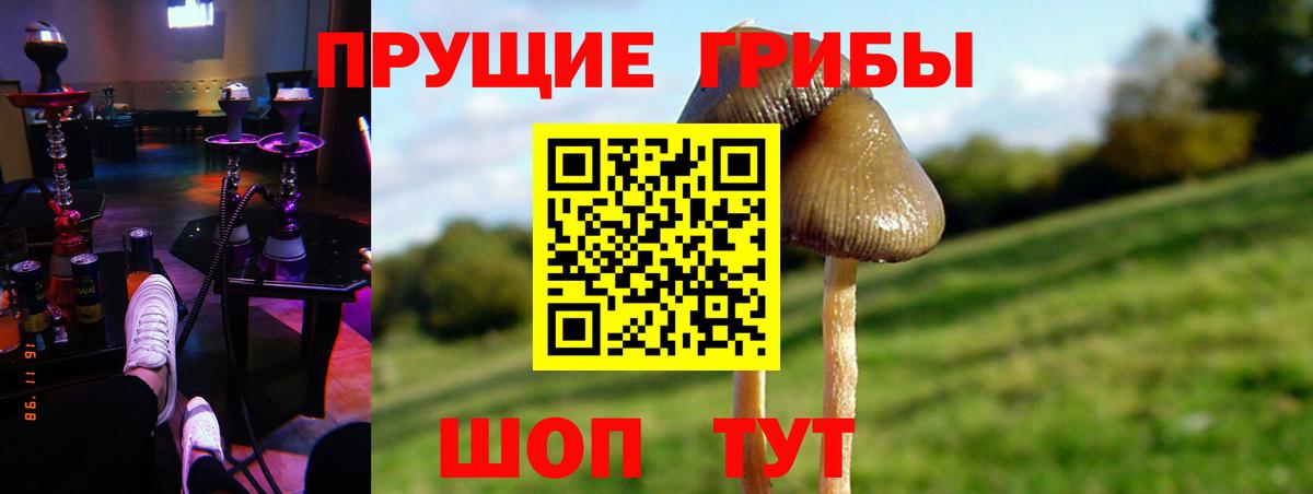 Галлюциногенные грибы GOLDEN TEACHER Белебей
